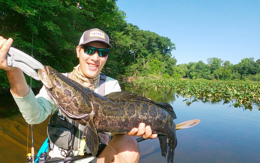 These Invasive Dragons Are the Ultimate Gamefish. Here’s How to Catch Them