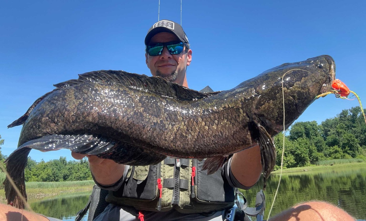 Snakehead Brooding The Best Snakehead Lures: What You Need to Catch a Dragon | Outdoor Life