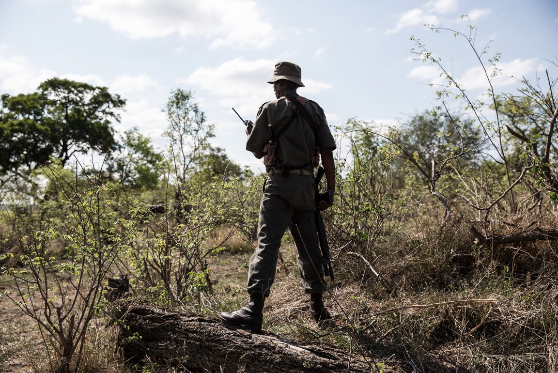 A field ranger in South Africa holds a radio.