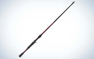 How to Fish an Alabama Rig: A Complete Guide | Outdoor Life