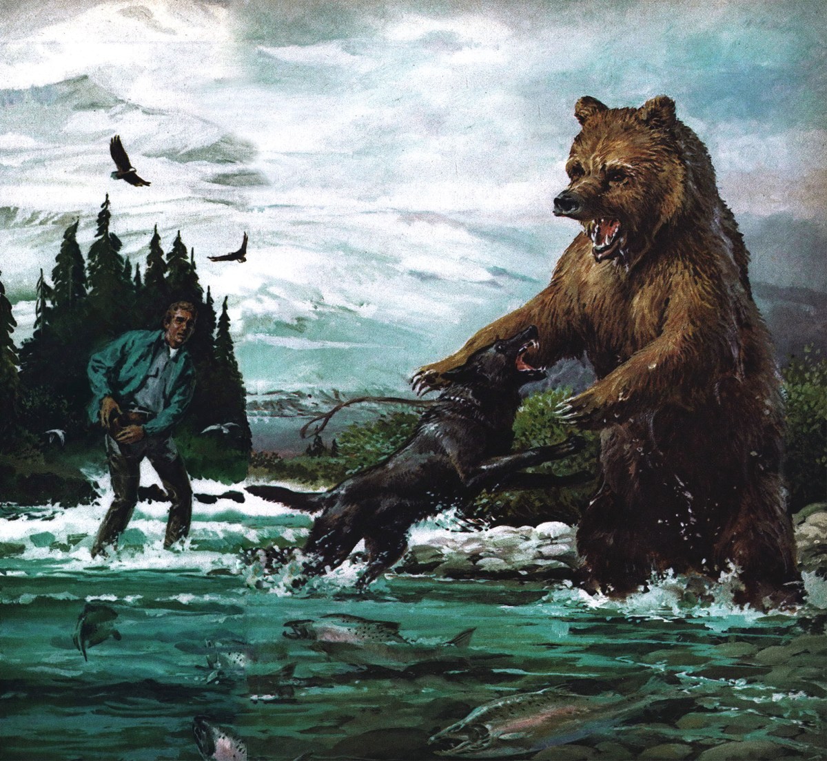 My Dog Sacrificed Himself to Save My Life in a Brown Bear Attack My Dog Sacrificed Himself to Save My Life in a Brown Bear Attack