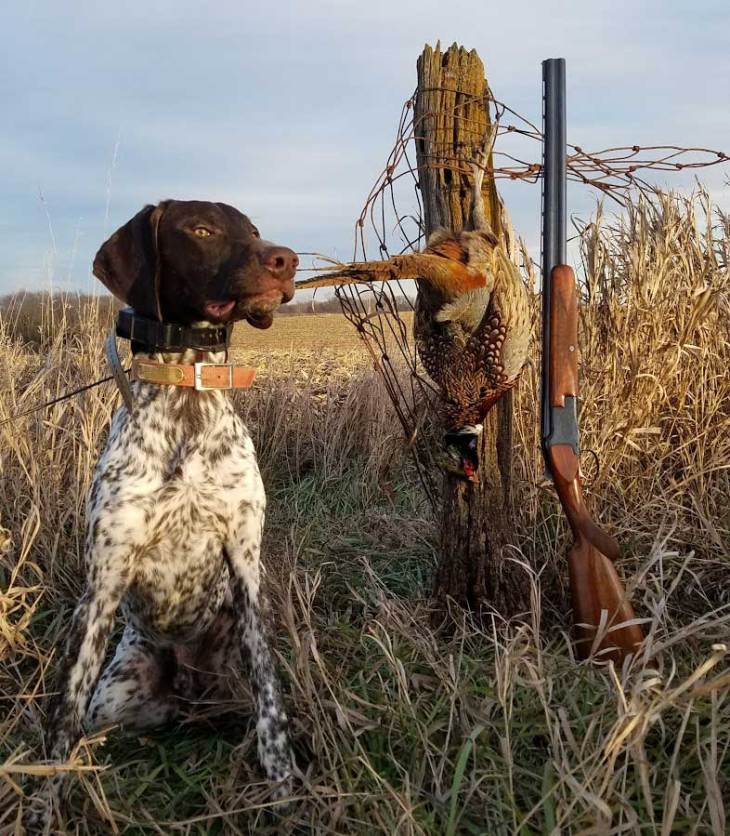 Browning Superposed Shotgun Review | Outdoor Life