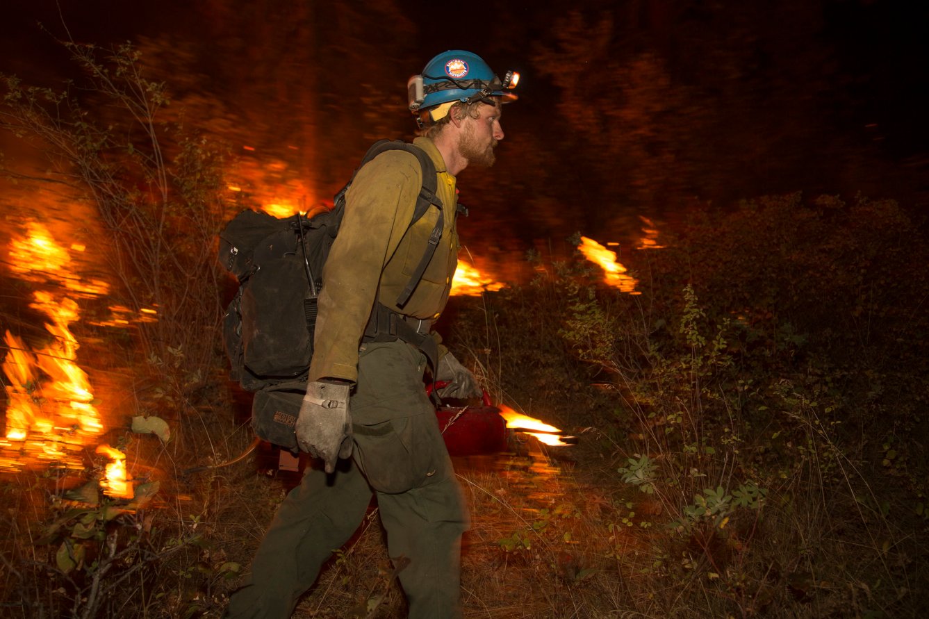 Feds Fire 4,400+ Public-Land Employees, Including Forest Service ...
