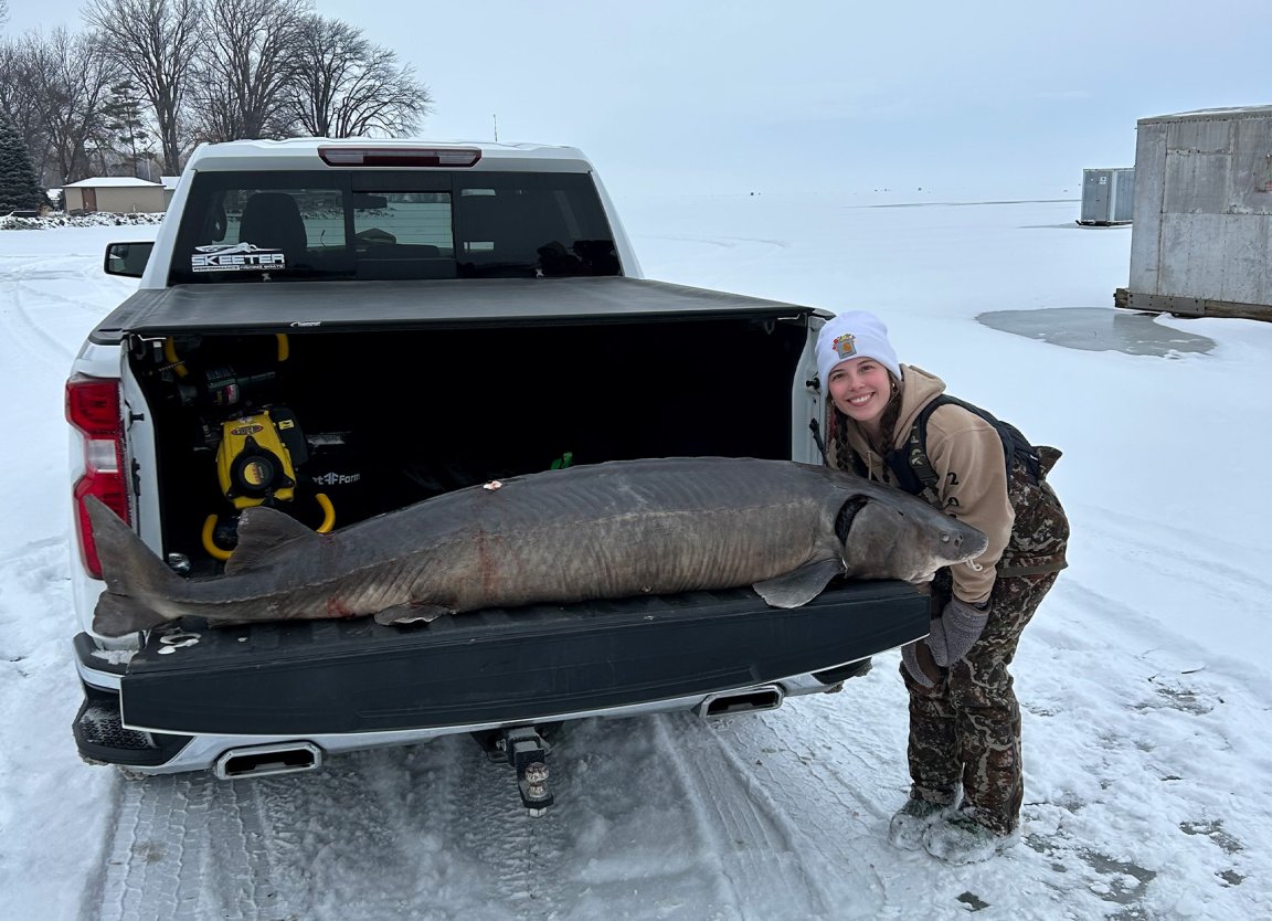 A Wisconsin angler stands next to a lake sturgeon in a truck bed.
