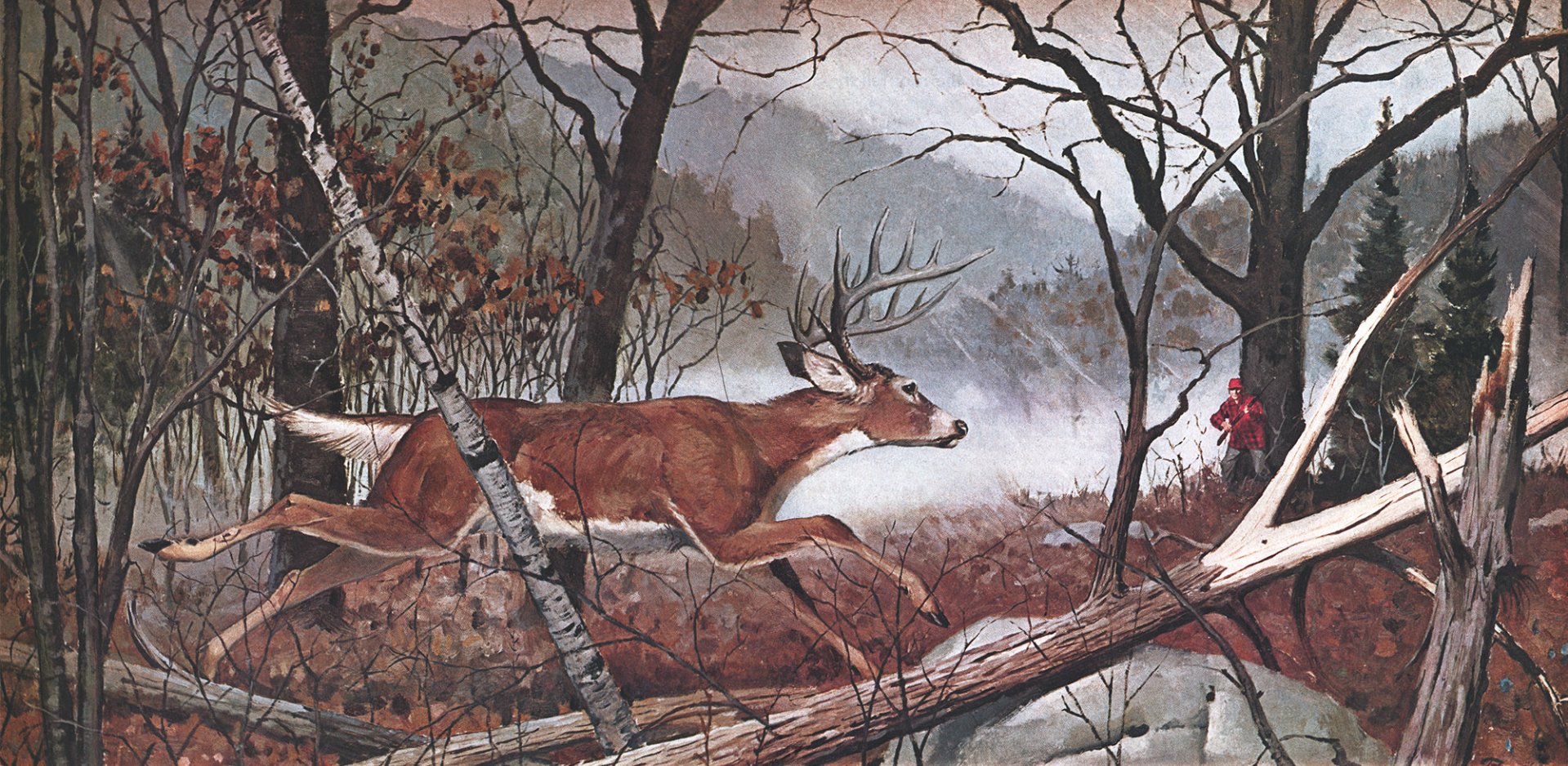 The hinkley buck runs through the woods