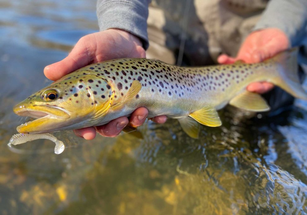 Secret Lures: 9 Crossover Baits That Are Overlooked, Underrated, and Highly Effective