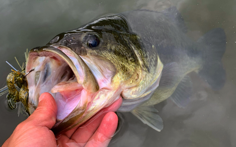 bass football jig