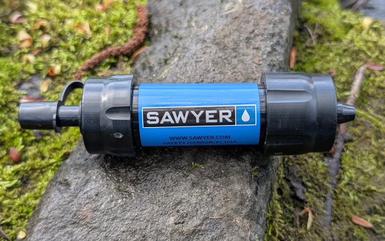 Sawyer Mini sitting on a rock and moss