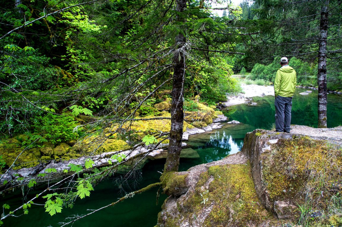 A hiker looks over a lush forest in Oregon.