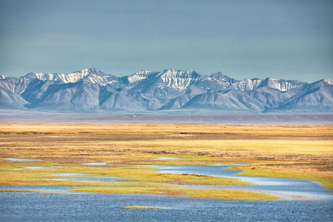 The arctic national wildlife refuge