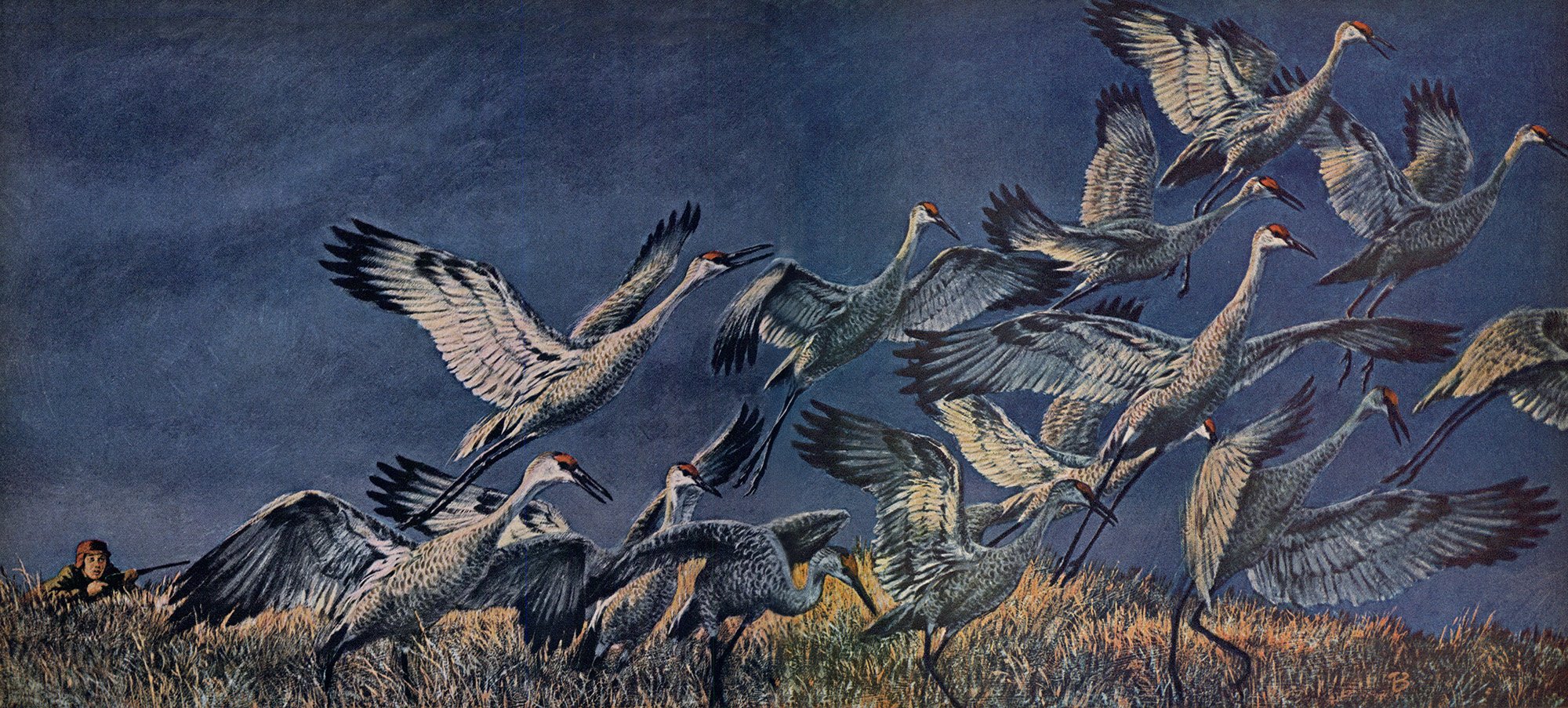 I Was the Youngest Duck Poacher in Saska