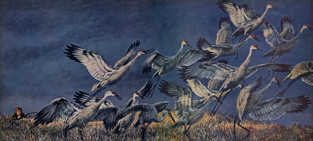 I Was the Youngest Duck Poacher in Saskatchewan I Was the Youngest Duck Poacher in Saskatchewan