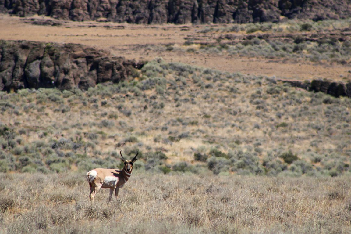 A house bill has earmarked federal public land for sale