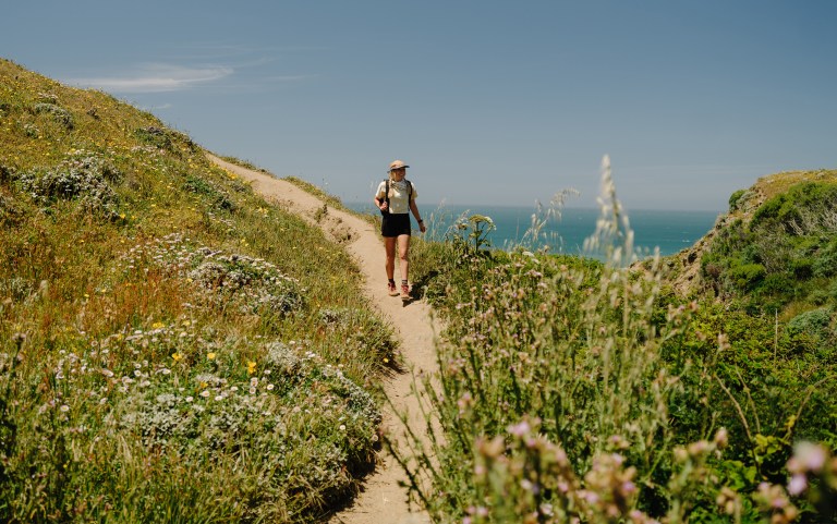 Image showcasing AllTrails Now Has Custom Routes, a 