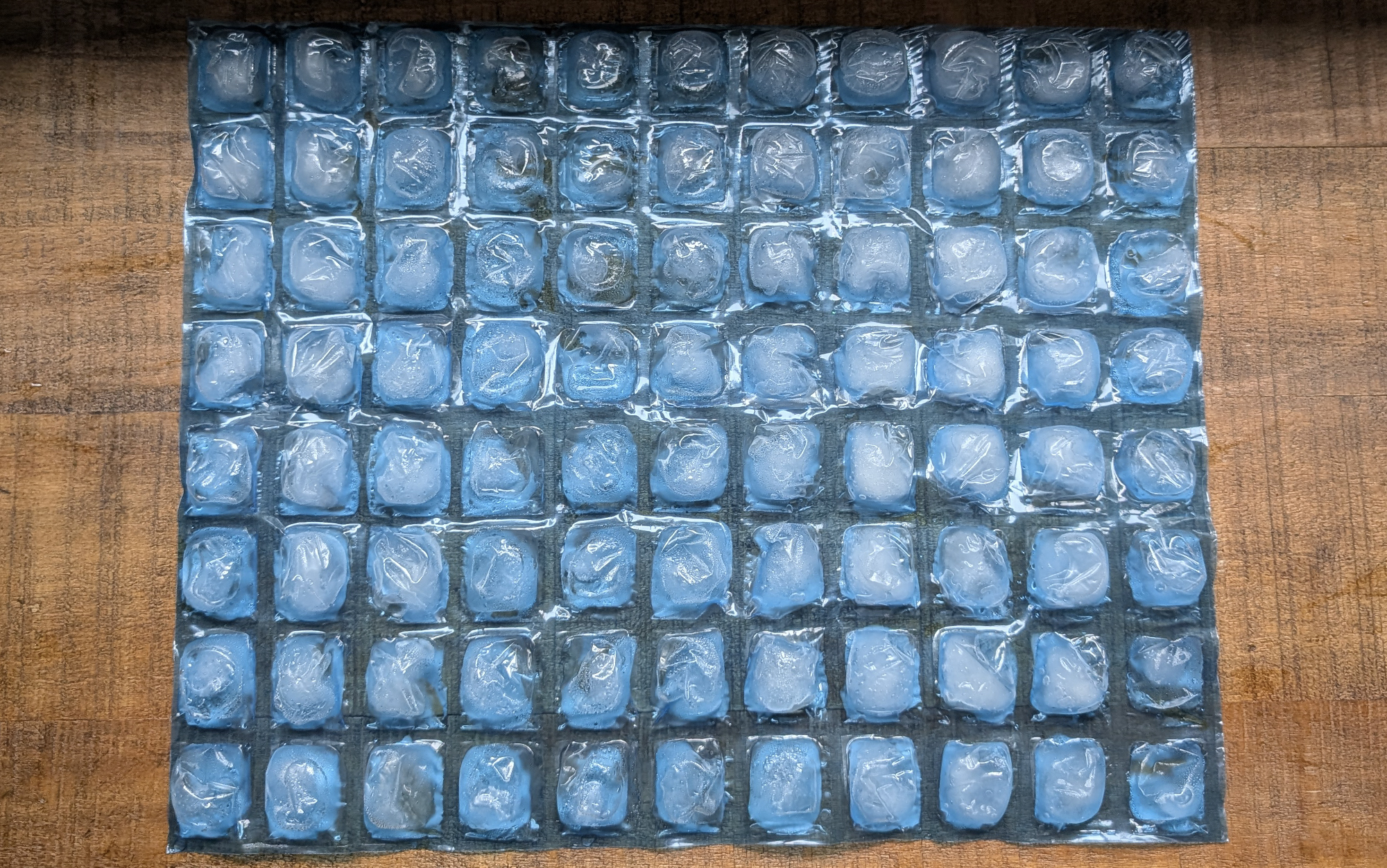 Large Reusable Ice Packs For Coolers - Camping Togo