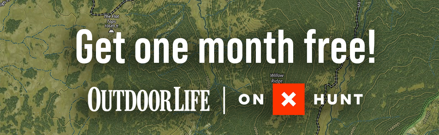 Newsletter background image