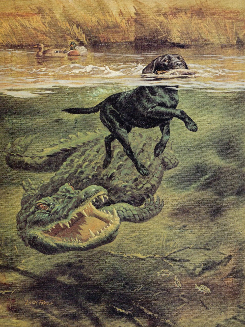 Before They Were Delisted, American Gators Were the Original Grizzly Bears
