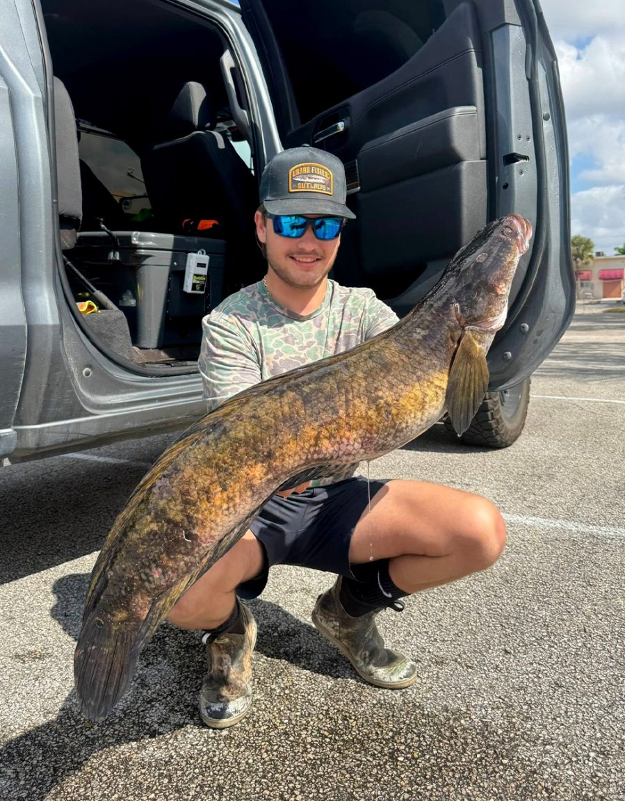 Snakehead Large This Giant Snakehead Was Just Declared a New World Record. It Was ...