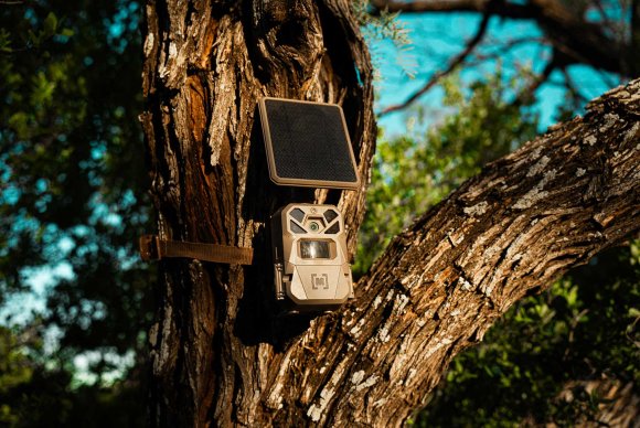Moultrie Edge 3