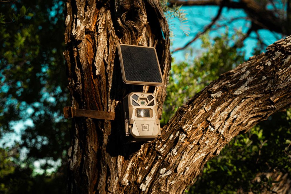 Labor Day Trail Camera Deals: These 10 Cell Cams Are Now Cheap