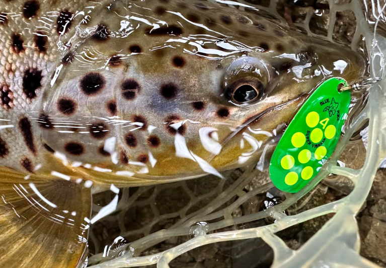 brown trout lure