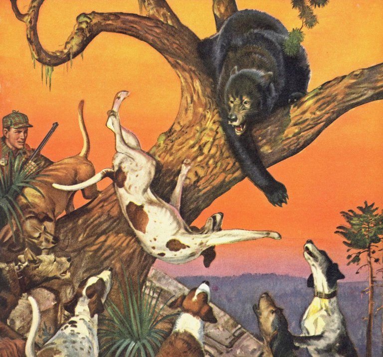 A black bear swats a dog out of a tree