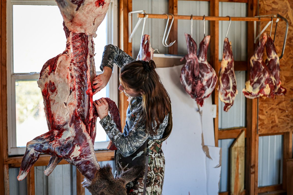 butchering deer