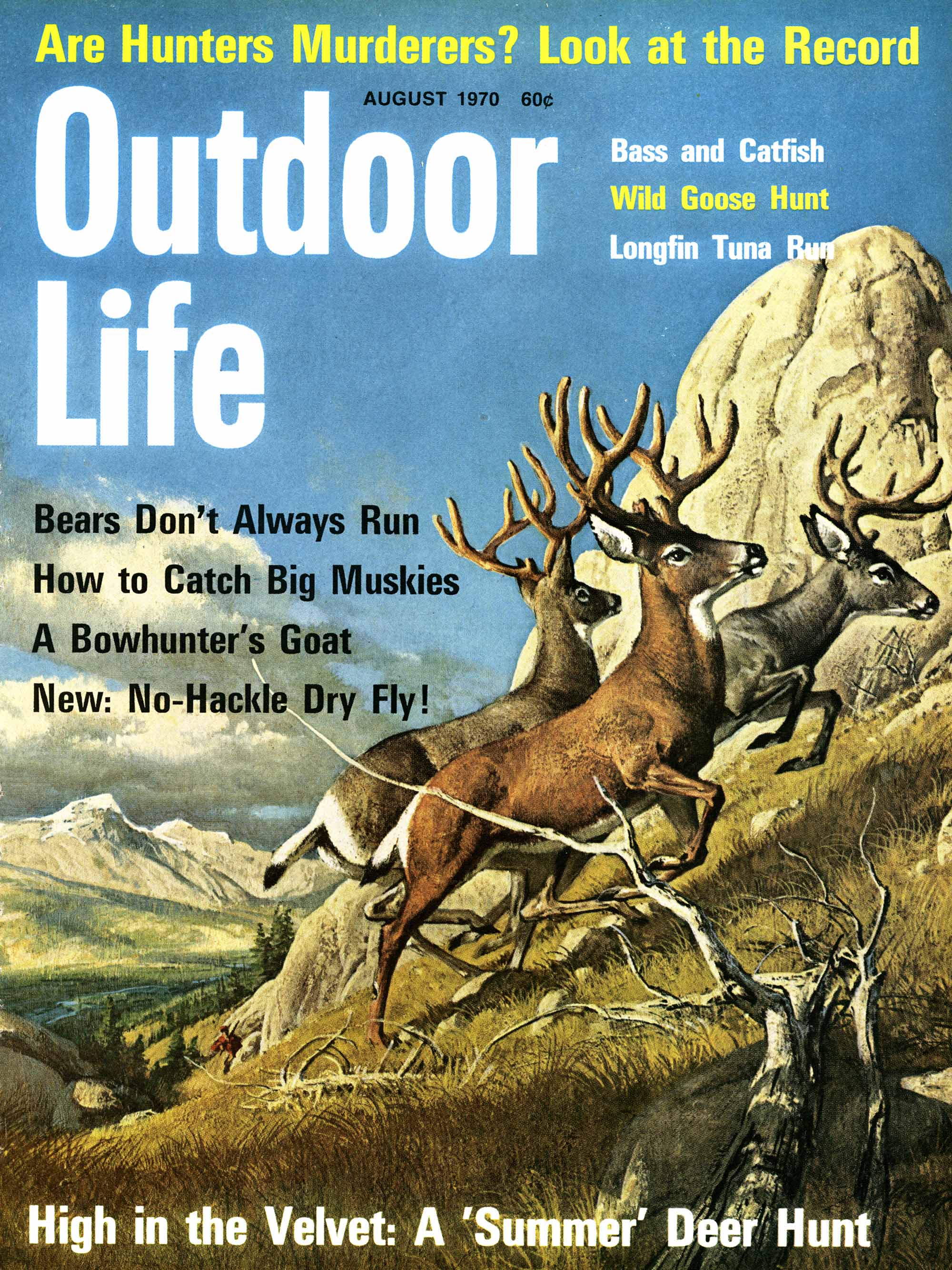 An illustration of velvet mule deer.