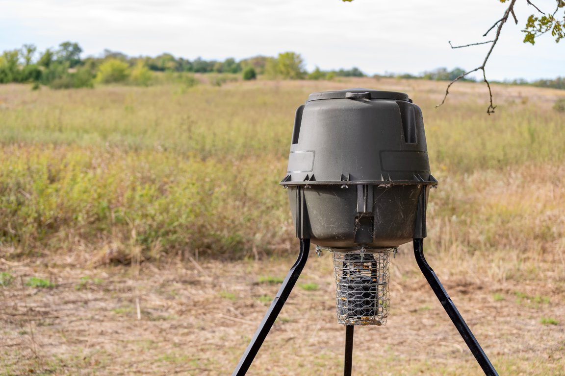 A deer feeder sits on the edge of a clearing.