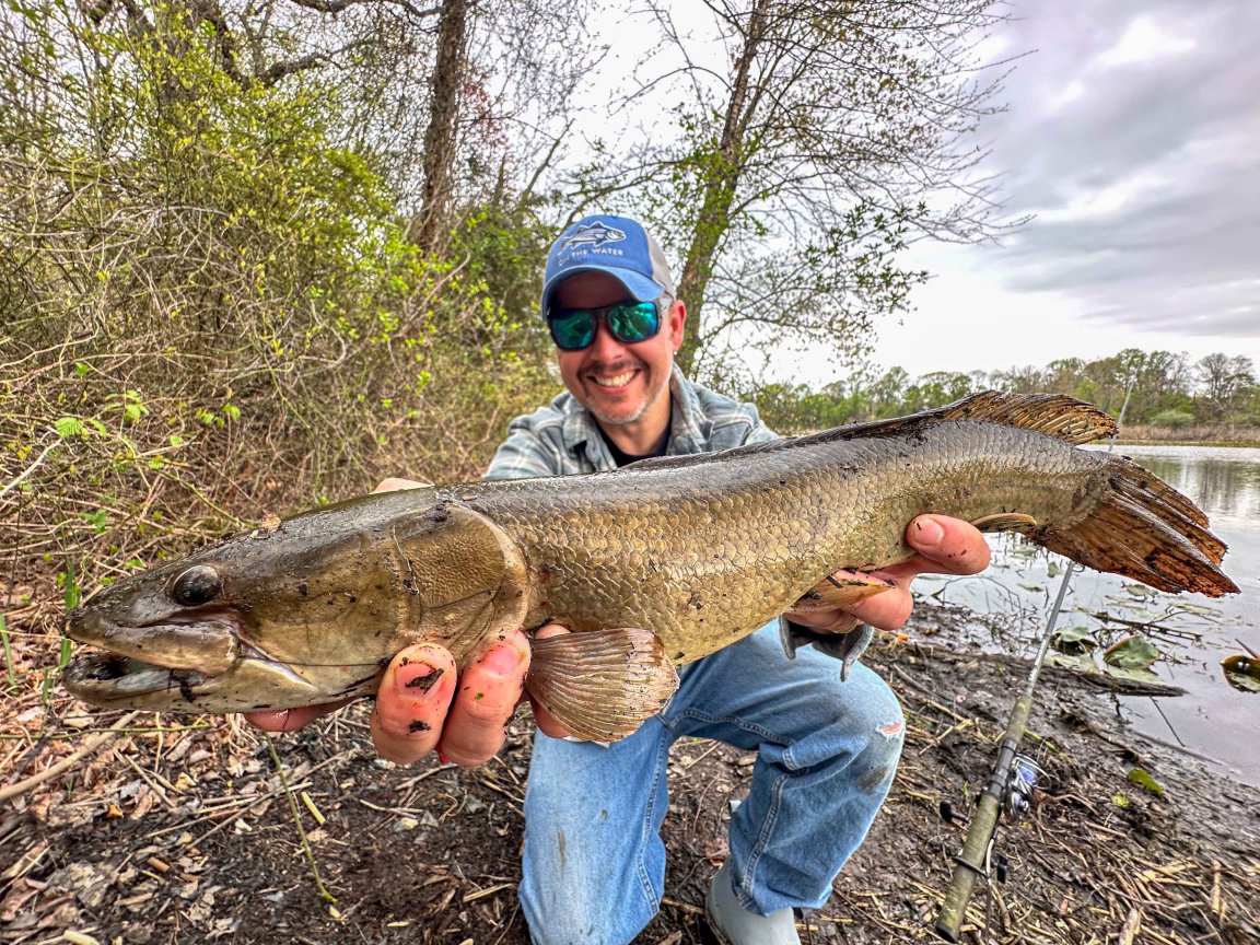 Fisherman Jimmy Fee holds up a bowfin to the camera.