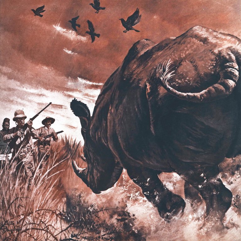 An illustration of a rhino charging theodore roosevelt