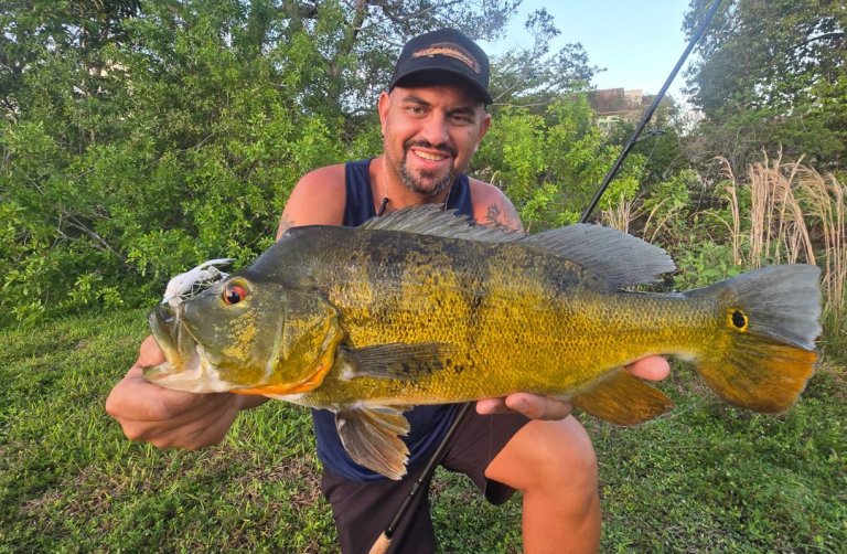 A man holds up a nice peacock bass in Florida.