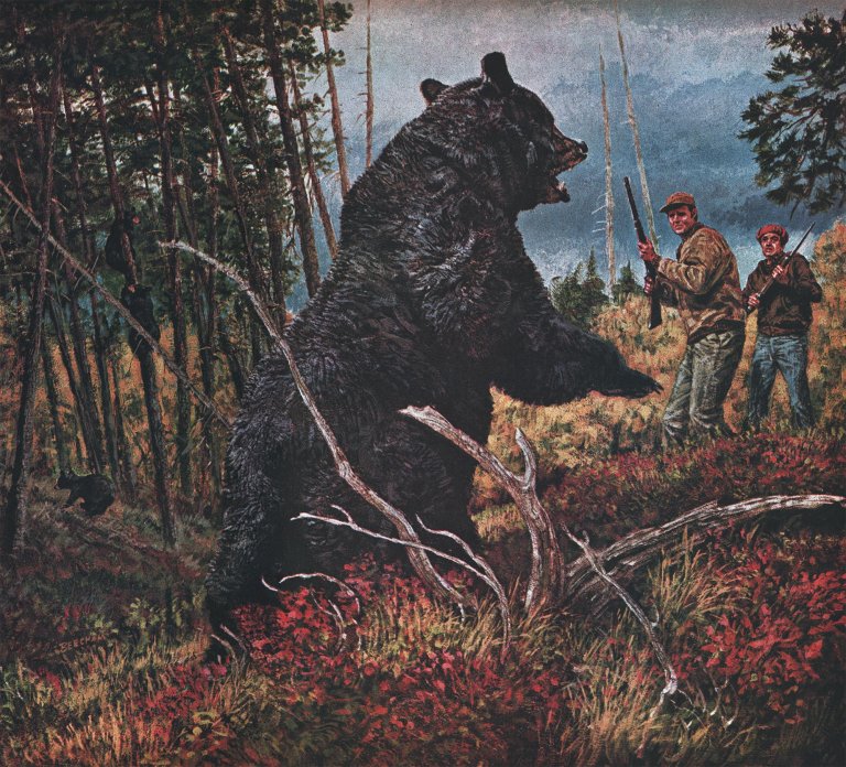 An illustration of a black bear sow facing off with hunters.