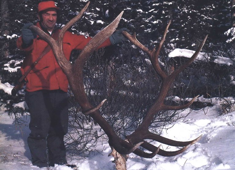 best elk