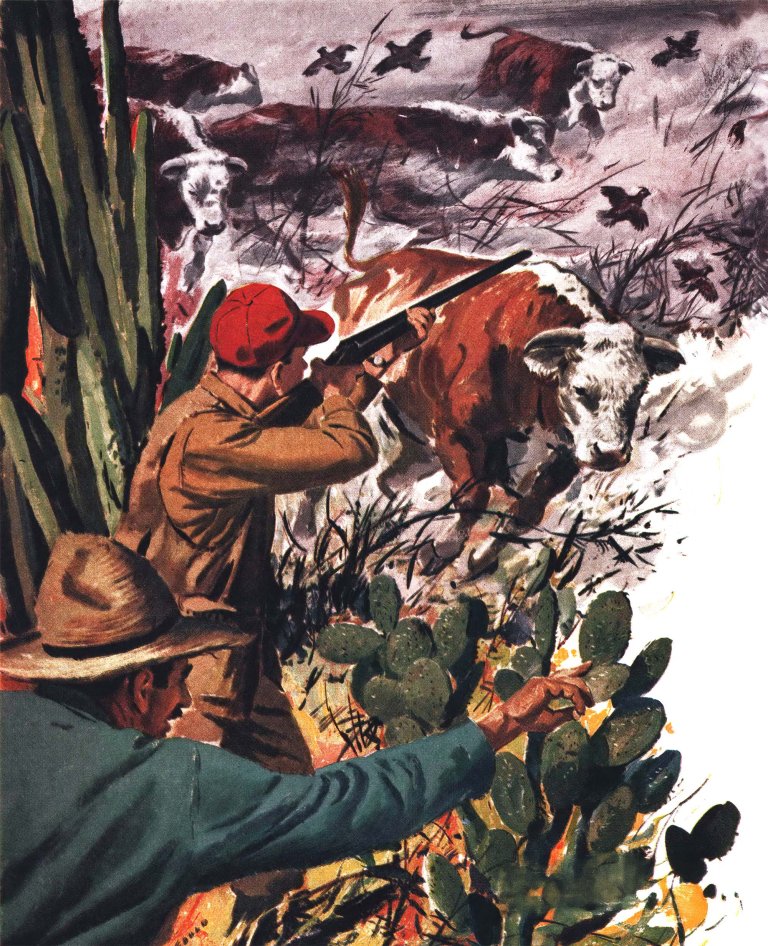 An illustration of a quail hunter trying to shoot amid a stampede