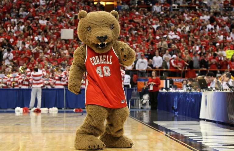 Cornell's Big Red Bear mascot on the floor at a basketball game.