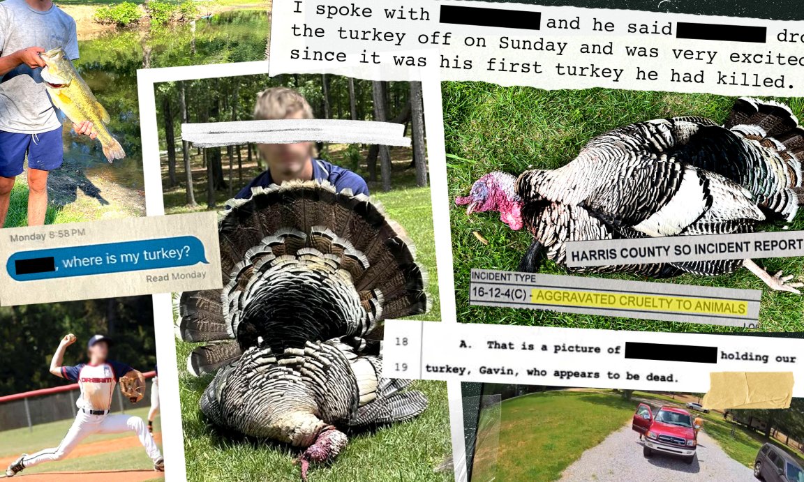 A composite image of a teen who killed a turkey that turned out to be a pet bird.