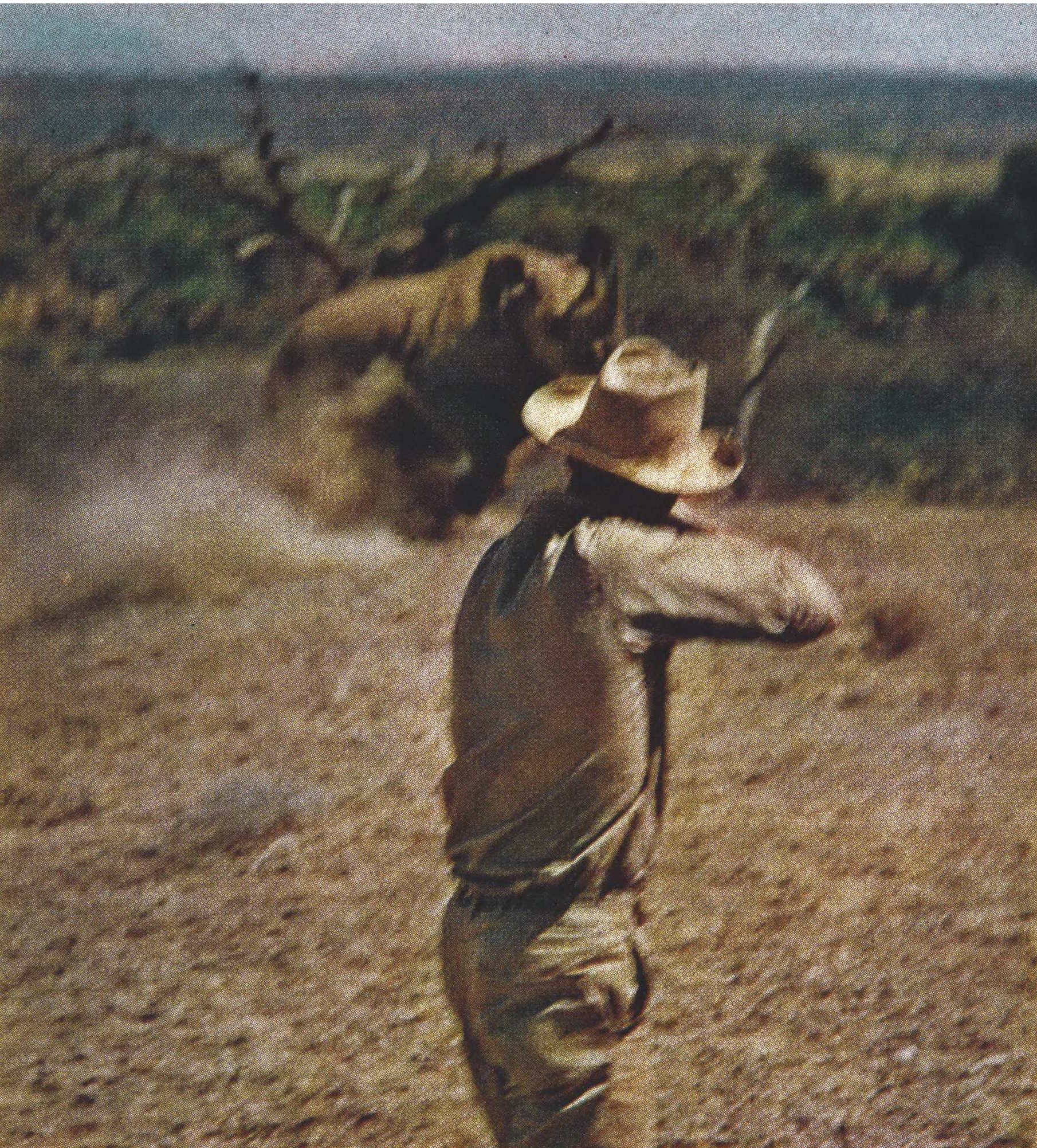 A rhino breaks its charge at Roosevelt