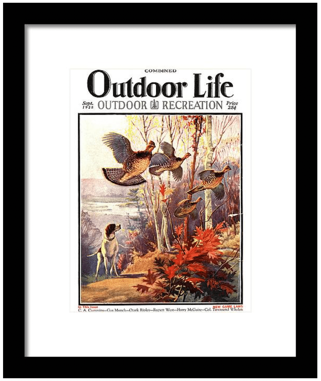 outdoor life cover