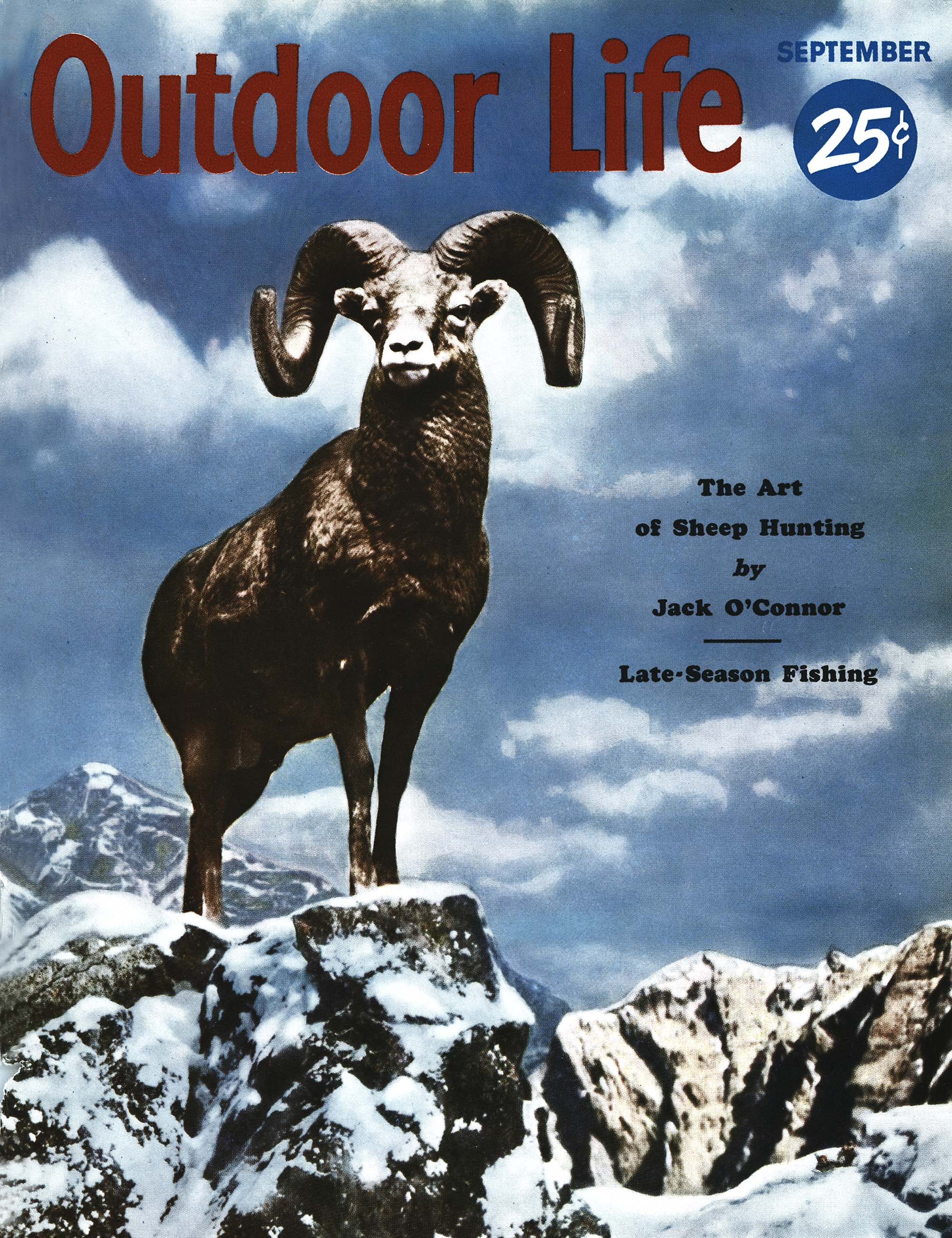 The cover of the September 1954 issue of outdoor life, which featured a photo of a ram