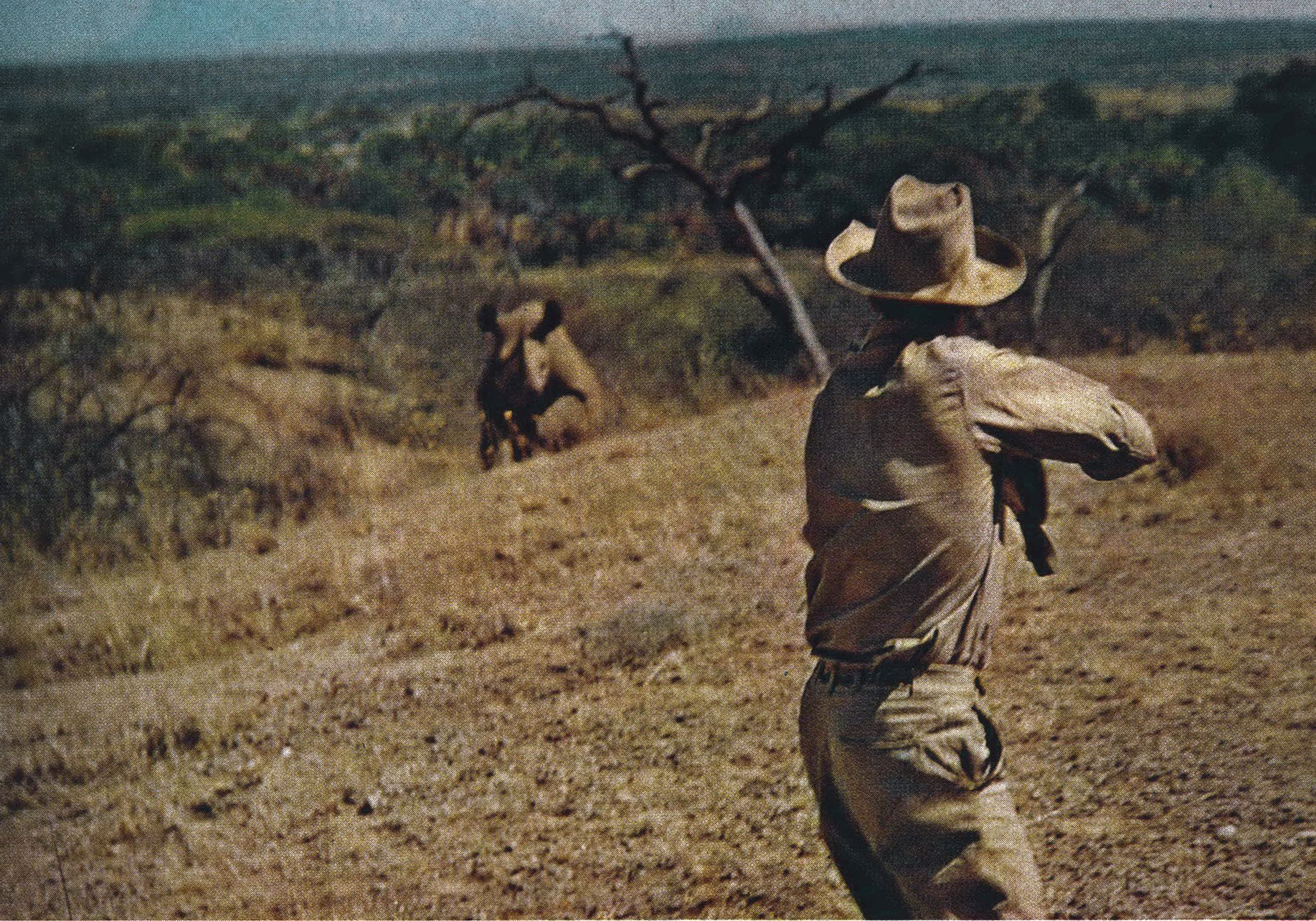 A photograph of a rhino charging a man holding a rifle.