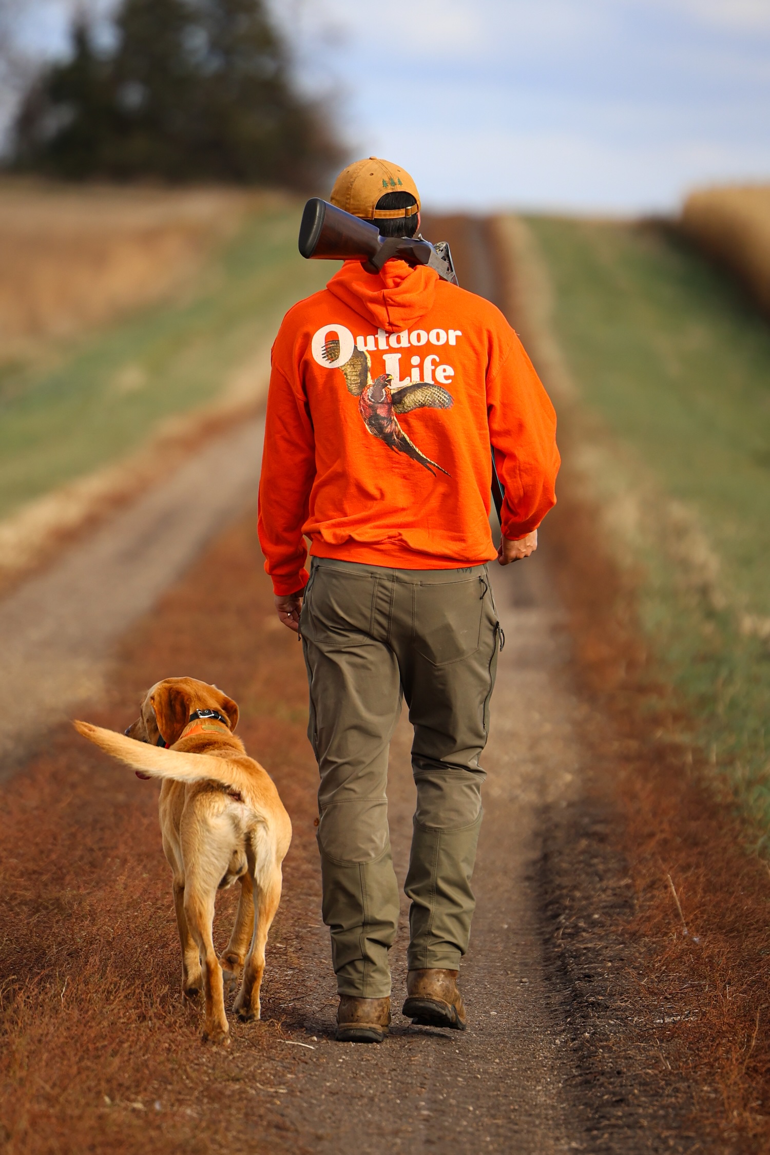 A hunter walking beside a Lab wears an orange Outdoor Life pheasant hoodie.