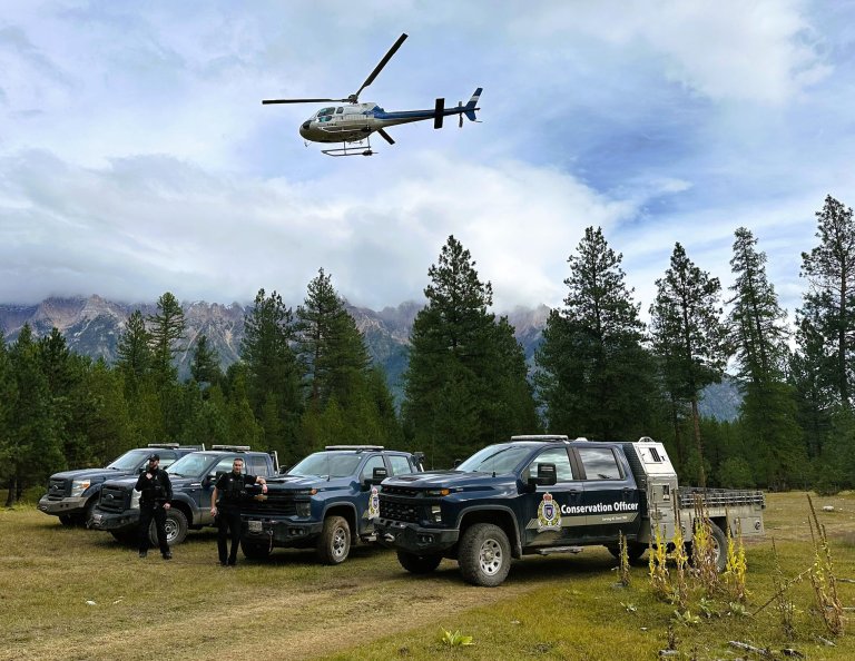 A helicopter flies over B.C. Conservation Officer Service vehicles after a bear attack near Fort Steele.