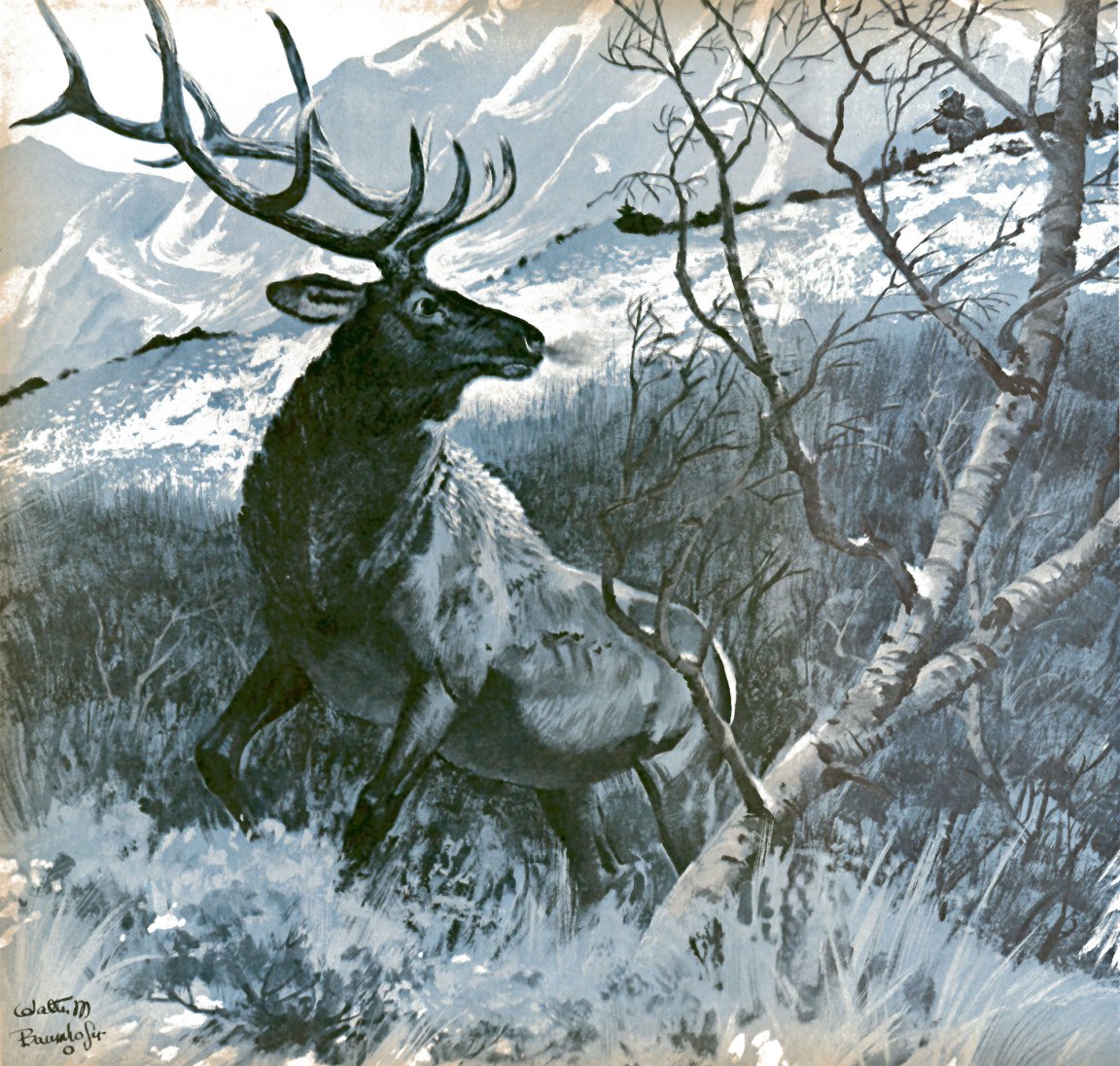 An illustration of a bull elk