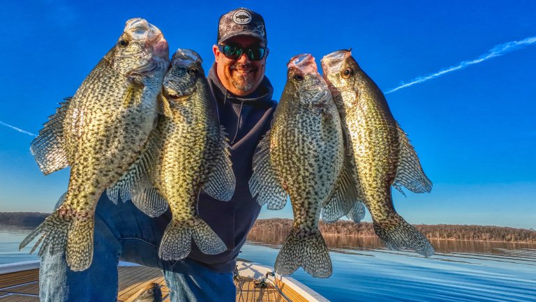 A photo of a fisherman holding up crappies.