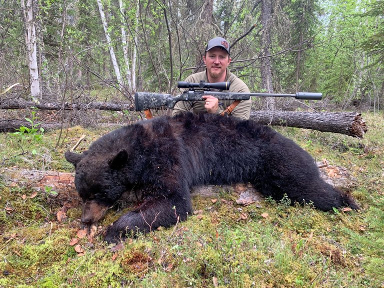 Freel with black bear