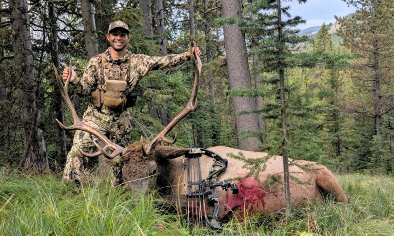 The author stands in frame, holding the antlers of a Montana bull elk