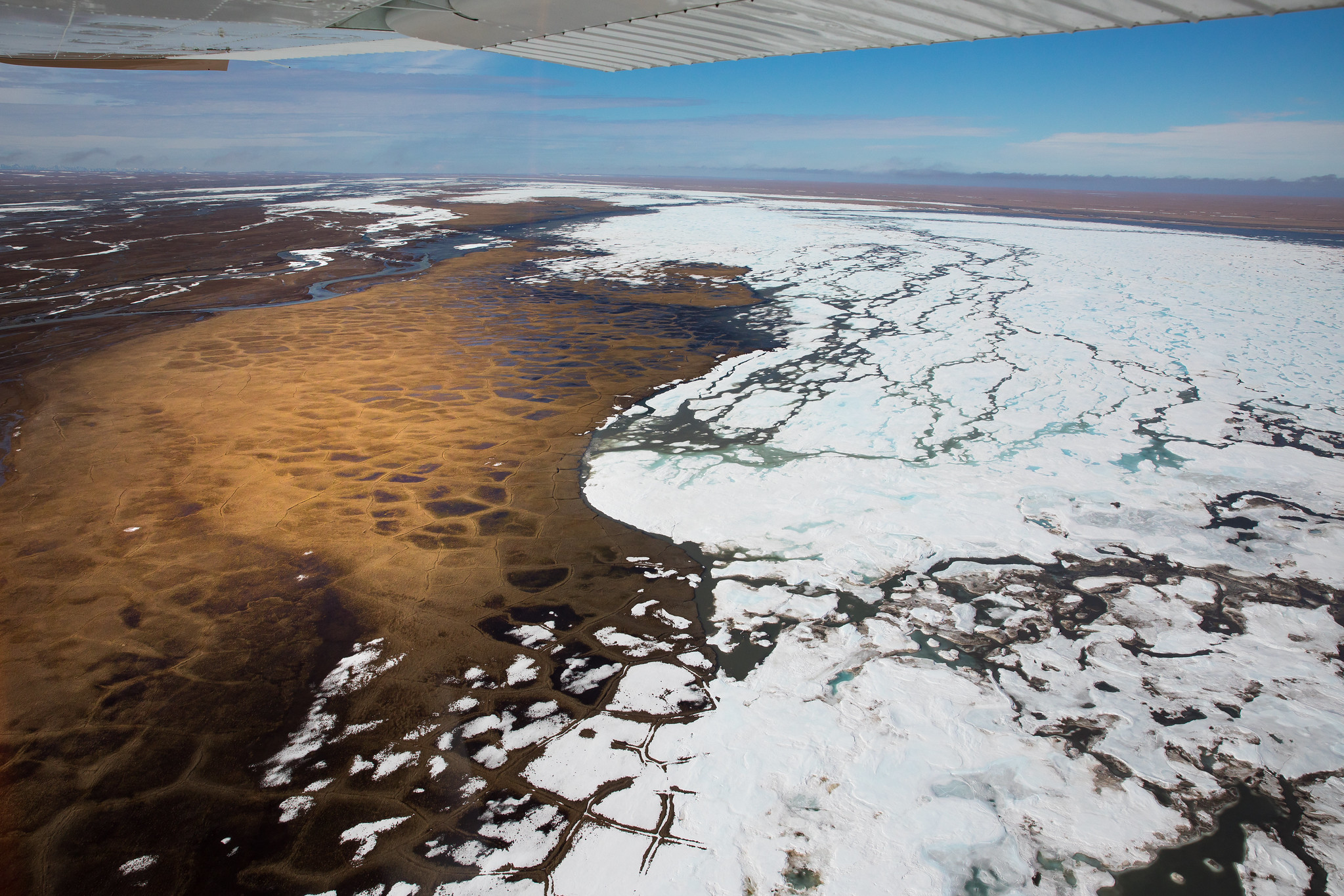 Biden's Ban on Drilling in Arctic NWR May Signal More Protections