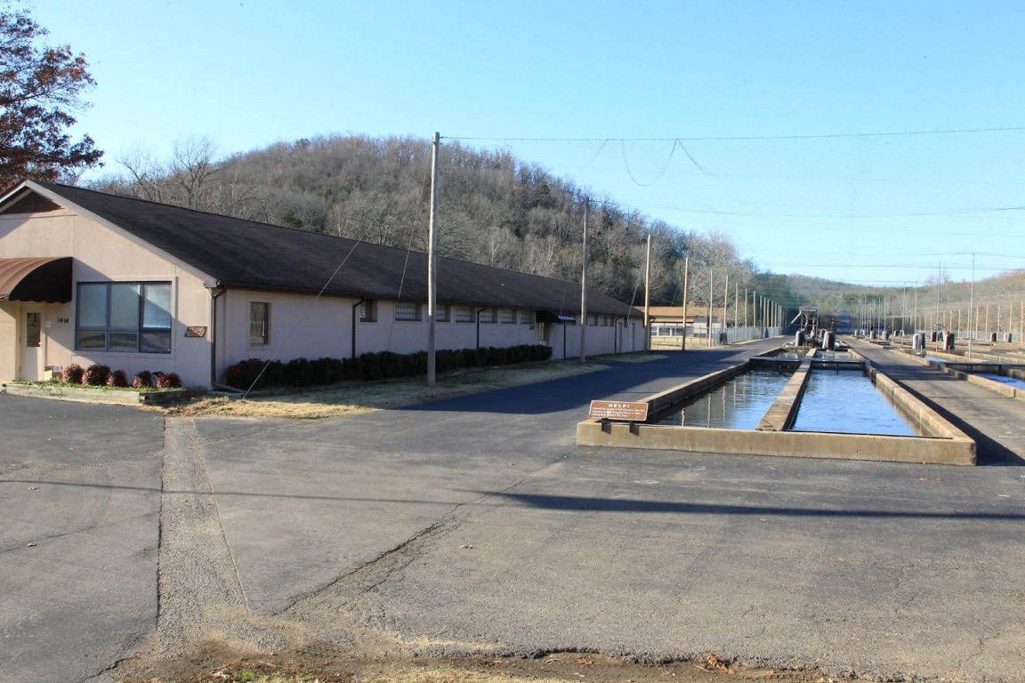A fish hatchery in Arkansas.