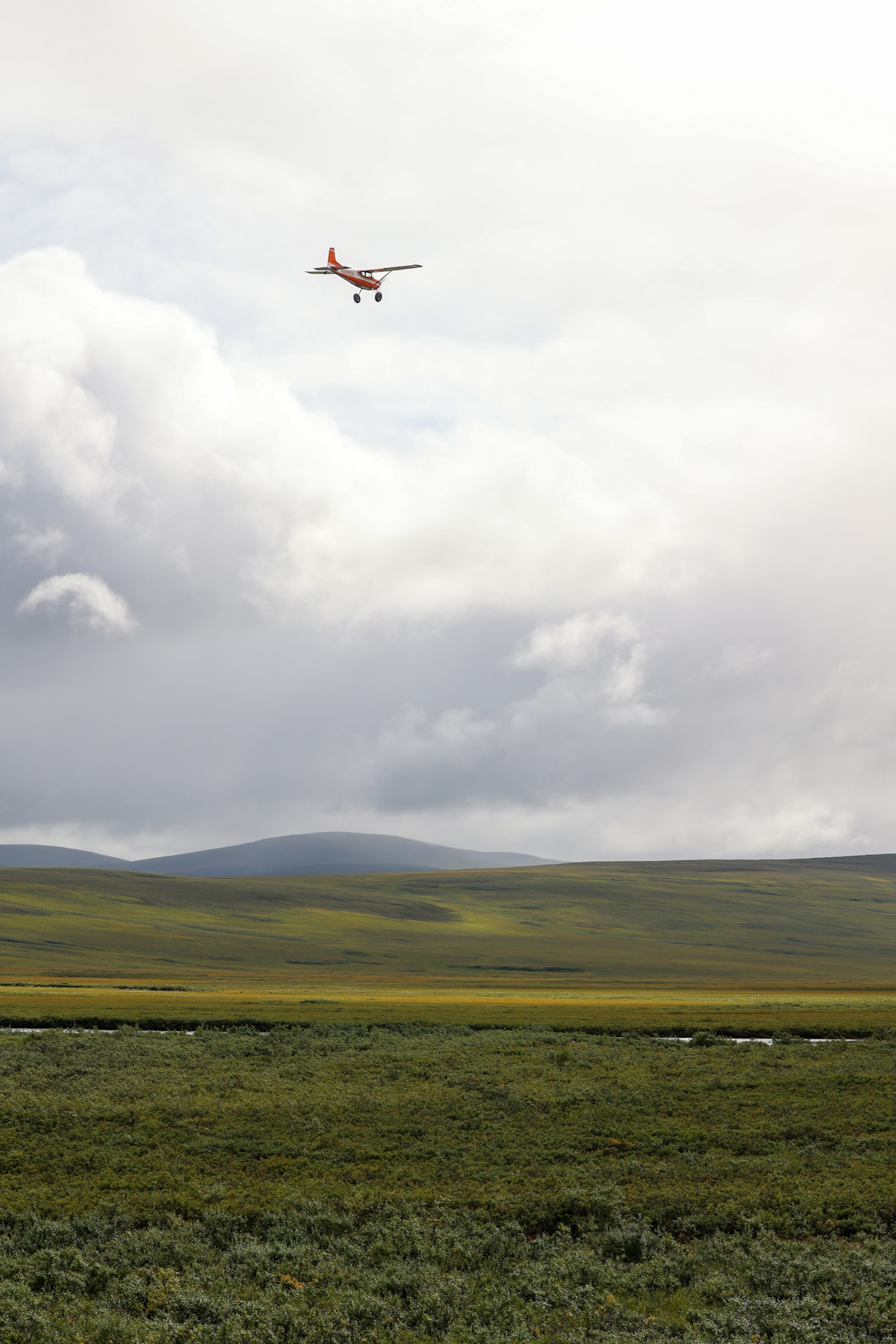 A Cessna flies over the tundra.